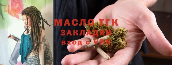 индика Арсеньев