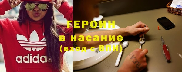 ГАЛЛЮЦИНОГЕННЫЕ ГРИБЫ Аркадак