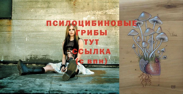 ГАЛЛЮЦИНОГЕННЫЕ ГРИБЫ Аркадак
