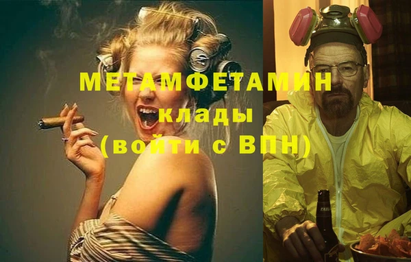 индика Арсеньев
