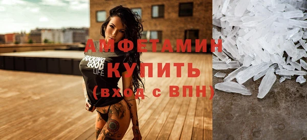 индика Арсеньев