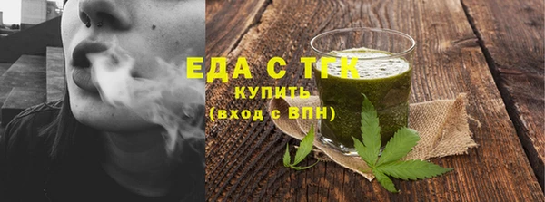 индика Арсеньев