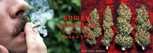 крисы Пестово