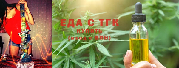индика Арсеньев